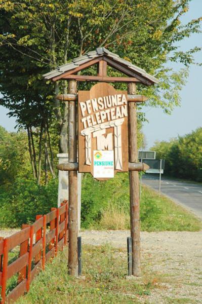 Pension Teleptean Ocna Şugatag Exterior foto